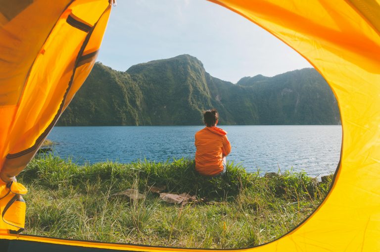 camping, red deer, lake, river